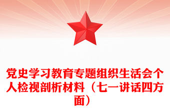 黨史學習教育專題組織生活會個人檢視剖析材料（七一講話四方面）