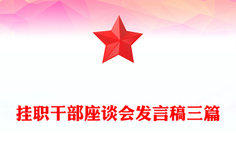 掛職干部座談會(huì)發(fā)言稿三篇