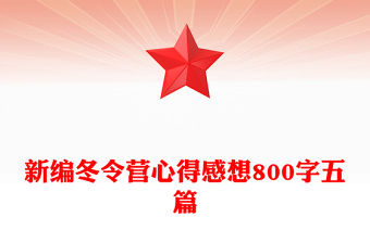 新編冬令營心得感想800字五篇