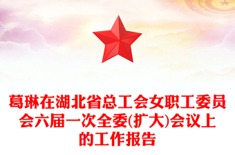 葛琳在湖北省總工會女職工委員會六屆一次全委(擴大)會議上的工作報告