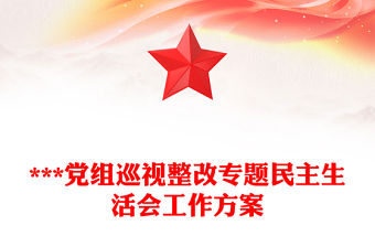 ***黨組巡視整改專題民主生活會(huì)工作方案