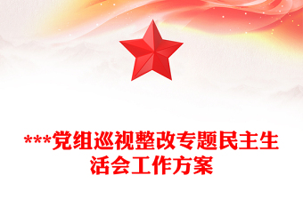 ***黨組巡視整改專題民主生活會(huì)工作方案