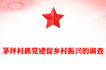 茅坪村抓黨建促鄉(xiāng)村振興的調(diào)查