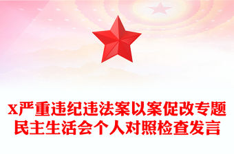 X嚴(yán)重違紀(jì)違法案以案促改專題民主生活會個人對照檢查發(fā)言