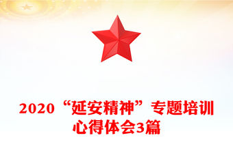 2020“延安精神”專題培訓心得體會3篇