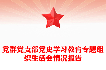 黨群黨支部黨史學(xué)習(xí)教育專(zhuān)題組織生活會(huì)情況報(bào)告