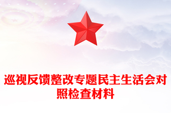 巡視反饋整改專題民主生活會對照檢查材料