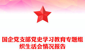 國(guó)企黨支部黨史學(xué)習(xí)教育專(zhuān)題組織生活會(huì)情況報(bào)告
