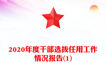 2020年度干部選拔任用工作情況報告(1)