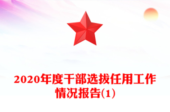 2020年度干部選拔任用工作情況報(bào)告(1)
