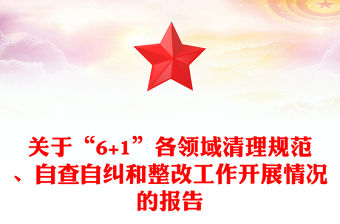 關于“6+1”各領域清理規范、自查自糾和整改工作開展情況的報告