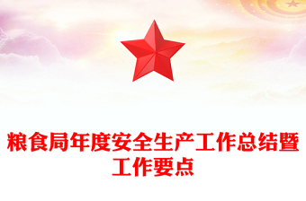 糧食局年度安全生產(chǎn)工作總結(jié)暨工作要點