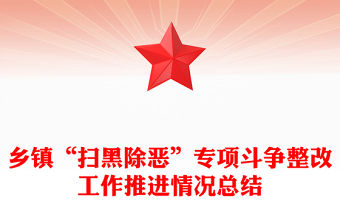 鄉鎮“掃黑除惡”專項斗爭整改工作推進情況總結