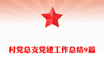 村黨總支黨建工作總結(jié)9篇