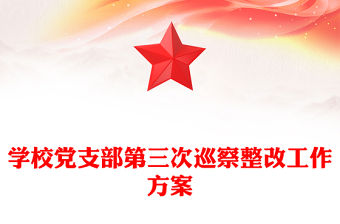 學(xué)校黨支部第三次巡察整改工作方案