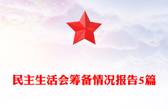 民主生活會籌備情況報告5篇