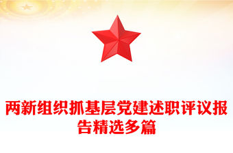 兩新組織抓基層黨建述職評議報告精選多篇