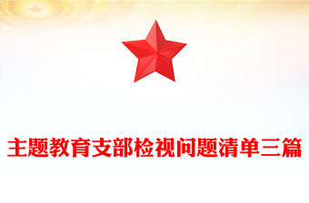 主題教育支部檢視問題清單三篇