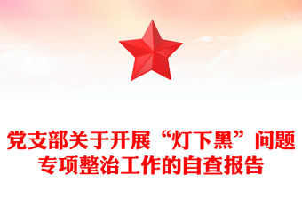 黨支部關于開展“燈下黑”問題專項整治工作的自查報告