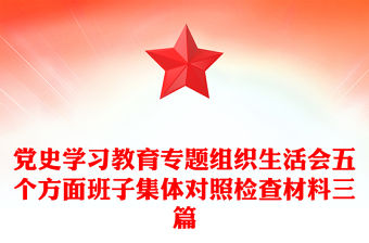 黨史學(xué)習(xí)教育專題組織生活會五個方面班子集體對照檢查材料三篇