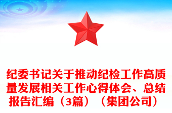 紀(jì)委書記關(guān)于推動(dòng)紀(jì)檢工作高質(zhì)量發(fā)展相關(guān)工作心得體會、總結(jié)報(bào)告匯編（3篇）（集團(tuán)公司）