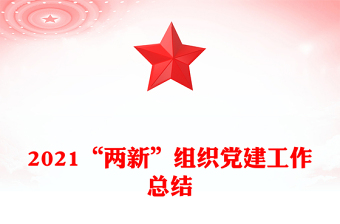 2021“兩新”組織黨建工作總結(jié)