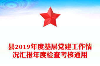 縣2019年度基層黨建工作情況匯報年度檢查考核通用