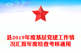 縣2019年度基層黨建工作情況匯報(bào)年度檢查考核通用
