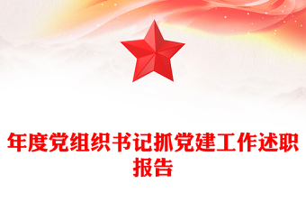 年度黨組織書記抓黨建工作述職報告