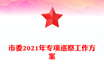 市委2021年專項巡察工作方案