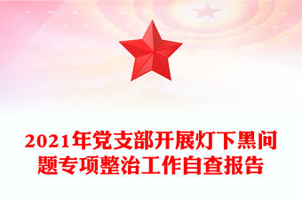 2021年黨支部開展燈下黑問題專項整治工作自查報告