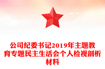 公司紀委書記2019年主題教育專題民主生活會個人檢視剖析材料