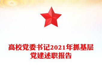 高校黨委書記2021年抓基層黨建述職報告