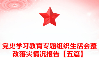 黨史學(xué)習(xí)教育專題組織生活會(huì)整改落實(shí)情況報(bào)告【五篇】