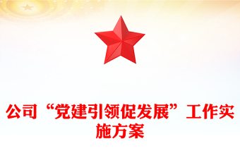 公司“黨建引領(lǐng)促發(fā)展”工作實(shí)施方案
