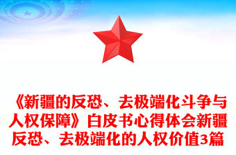 《新疆的反恐、去極端化斗爭與人權保障》白皮書心得體會新疆反恐、去極端化的人權價值3篇