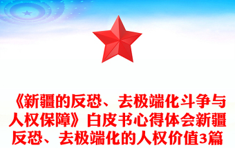 《新疆的反恐、去極端化斗爭(zhēng)與人權(quán)保障》白皮書心得體會(huì)新疆反恐、去極端化的人權(quán)價(jià)值3篇
