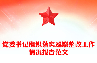 黨委書記組織落實(shí)巡察整改工作情況報(bào)告范文