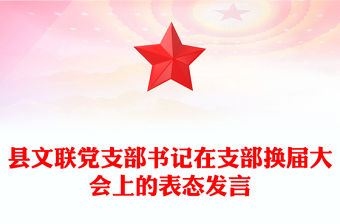 縣文聯黨支部書記在支部換屆大會上的表態發言