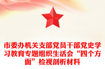 市委辦機(jī)關(guān)支部黨員干部黨史學(xué)習(xí)教育專題組織生活會(huì)“四個(gè)方面”檢視剖析材料