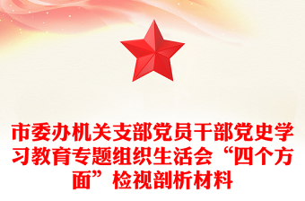 市委辦機(jī)關(guān)支部黨員干部黨史學(xué)習(xí)教育專題組織生活會(huì)“四個(gè)方面”檢視剖析材料