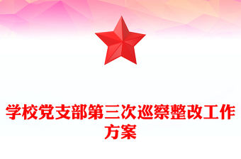 學(xué)校黨支部第三次巡察整改工作方案