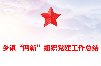 鄉鎮“兩新”組織黨建工作總結