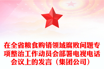 在全省糧食購銷領(lǐng)域腐敗問題專項(xiàng)整治工作動員會部署電視電話會議上的發(fā)言(集團(tuán)公司)