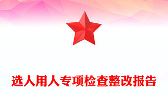 選人用人專項檢查整改報告
