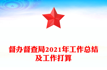 督辦督查局2021年工作總結(jié)及工作打算
