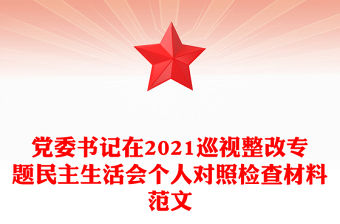 黨委書記在2021巡視整改專題民主生活會個人對照檢查材料范文