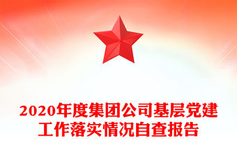 2020年度集團公司基層黨建工作落實情況自查報告