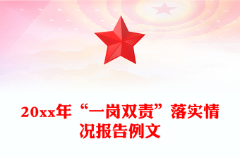 20xx年“一崗雙責”落實情況報告例文