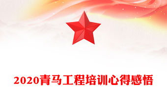 2020青馬工程培訓心得感悟